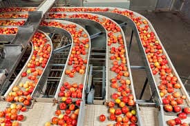 Licencias de actividad, registros sanitarios y consultoría técnica para industrias agroalimentarias