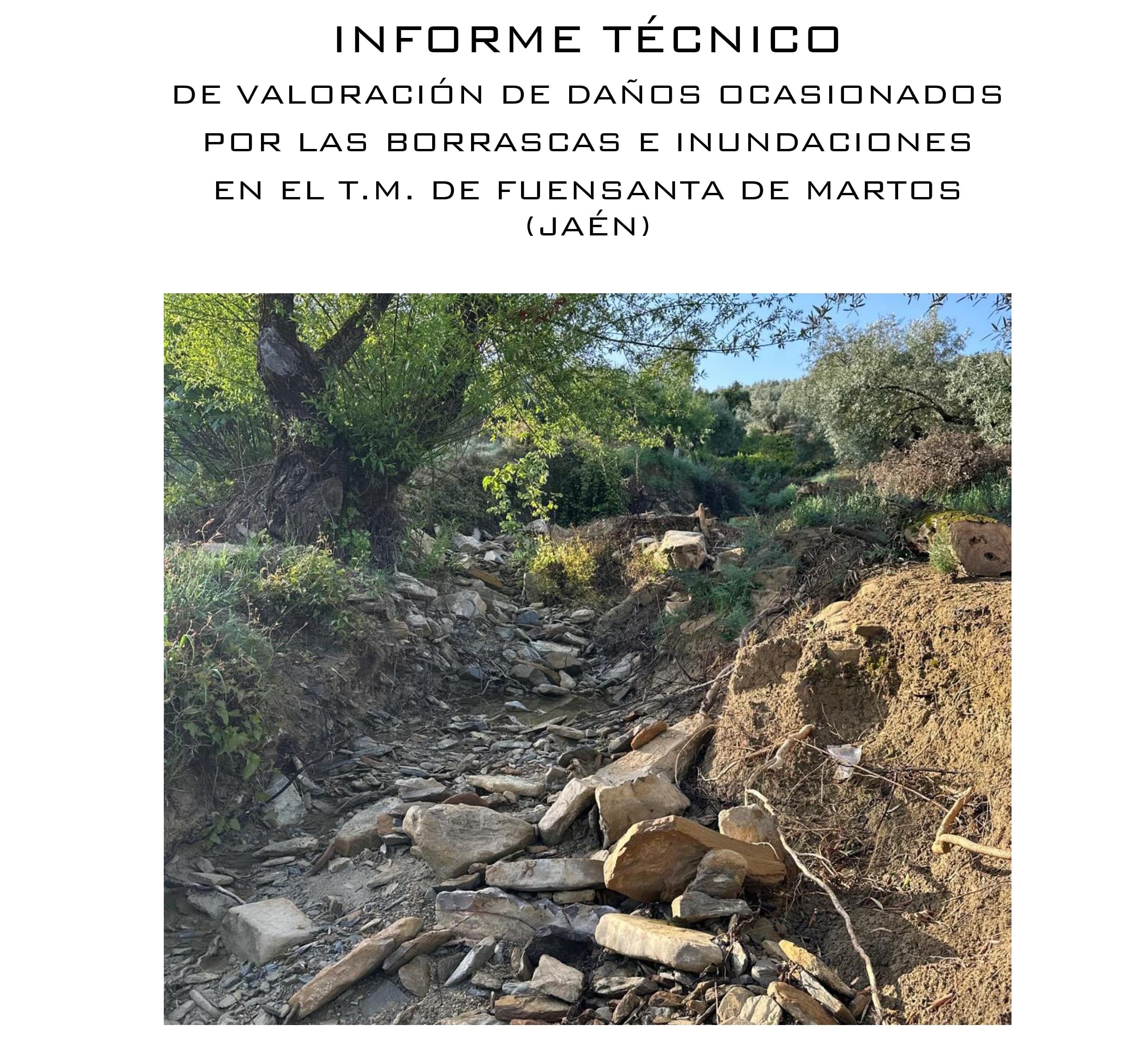 Informe pericial de daños por borrascas